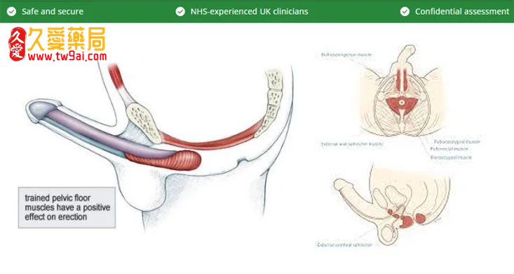 1716390612113732.png image.png